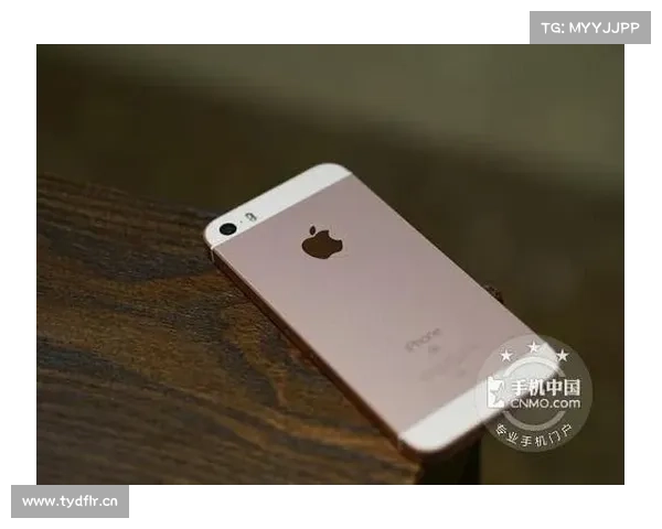 iPhone SE包装盒曝光:支持NFC_16GB iPhone SE包装盒曝光:支持NFC_16GB